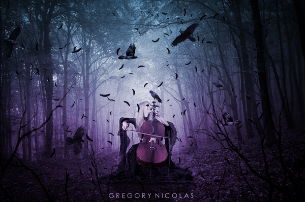 Afficher limage dorigine